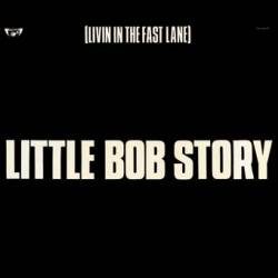 Little Bob Story : Living in the Fast Lane